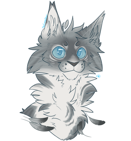 Flat Headshot for Faedora